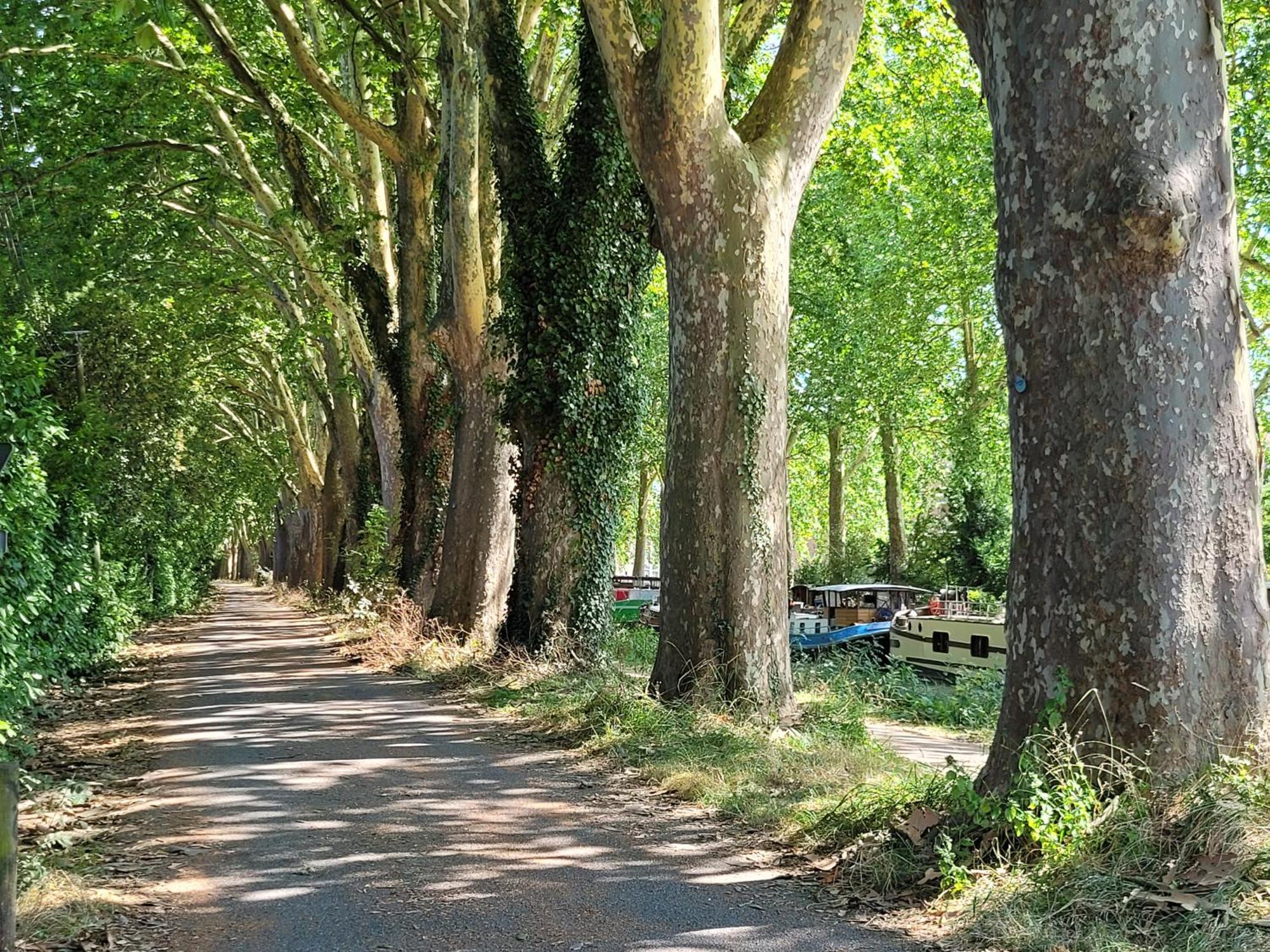 Homestay Sud Chez Habitant